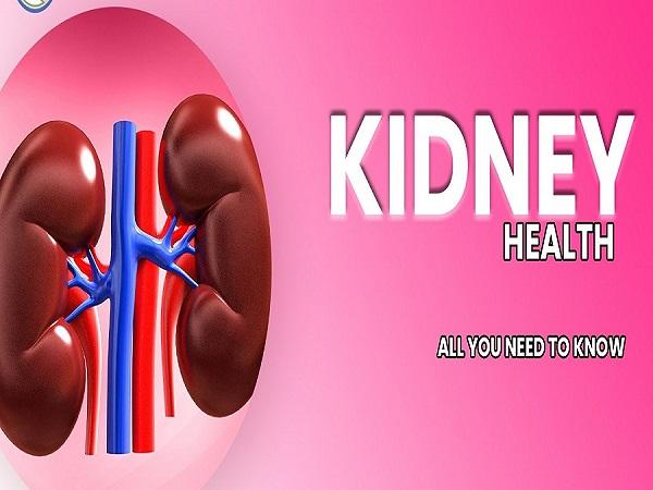 Kidney Problems: Causes | Symptoms | Treatment Medicine
